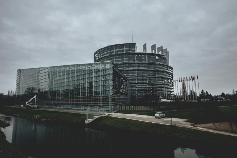 EU Hantavirus Preparedness: Parliament and Commission Assess Response After MV Hondius Outbreak
