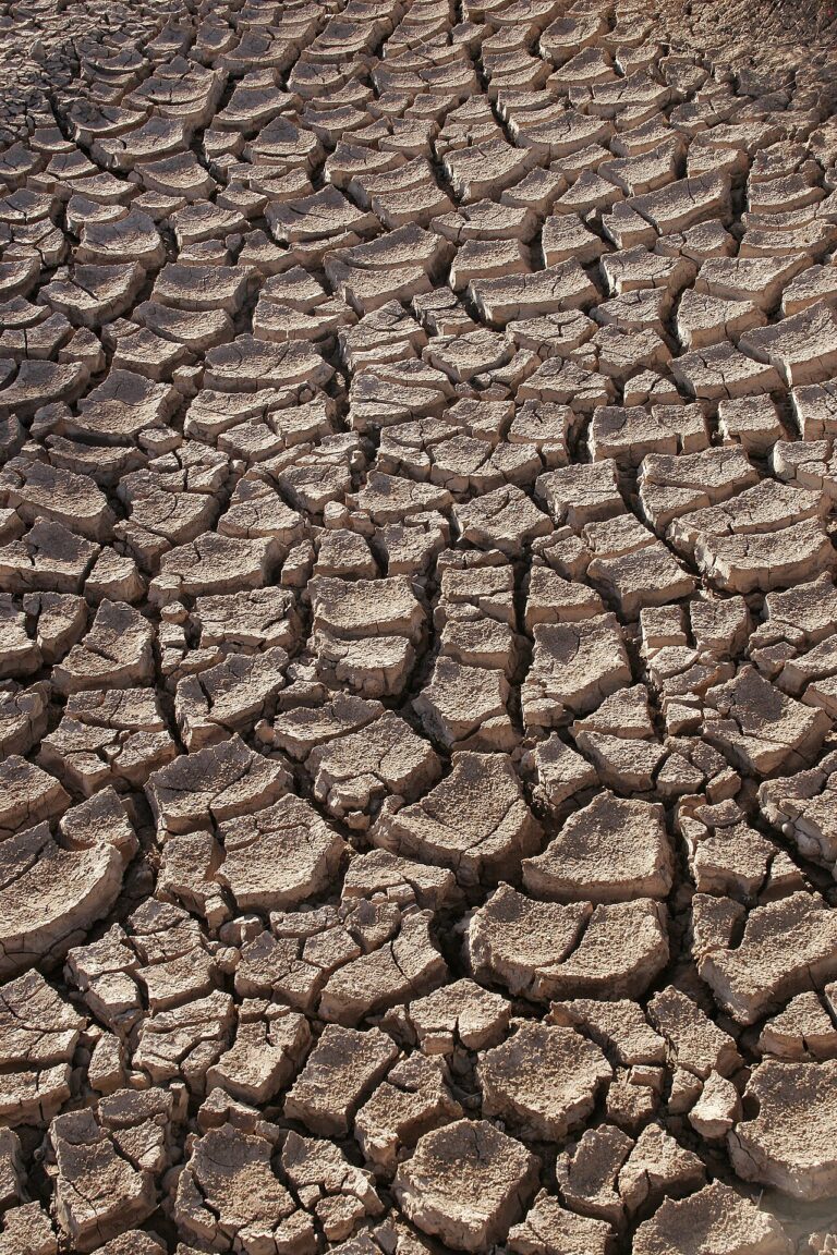 Changement climatique sécheresse
