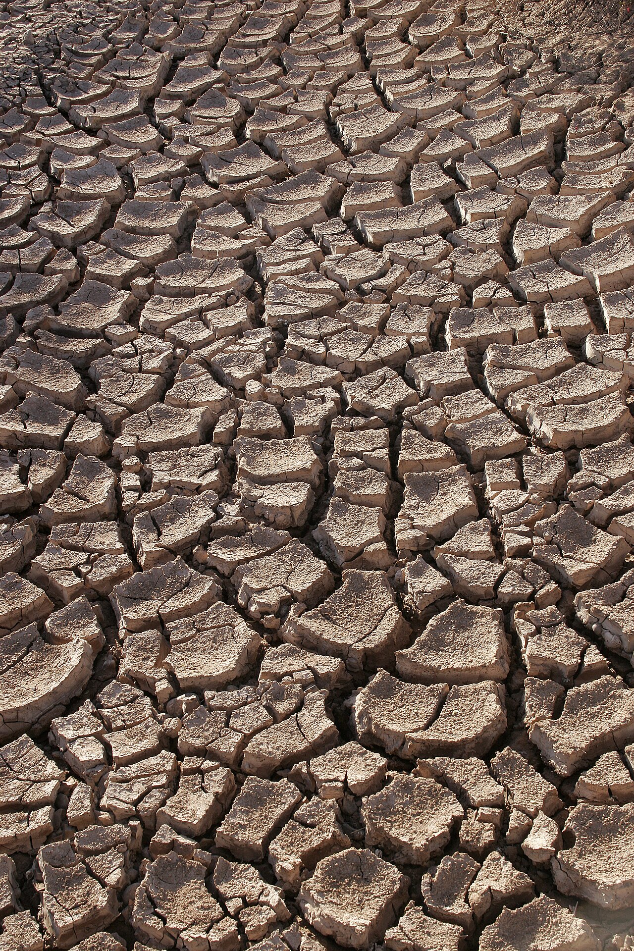 Changement climatique sécheresse