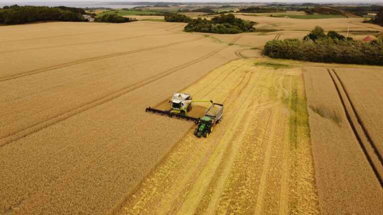 Denmark stands alone as only EU member state without agriculture minister