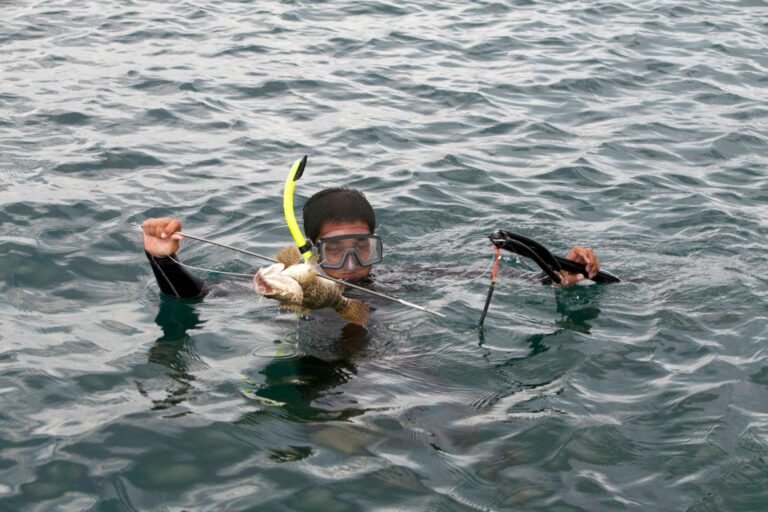Spearfisher dies following shark attack off Western Australian coast