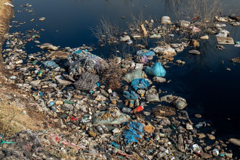 Ocean protection critical as rapid changes threaten Earth