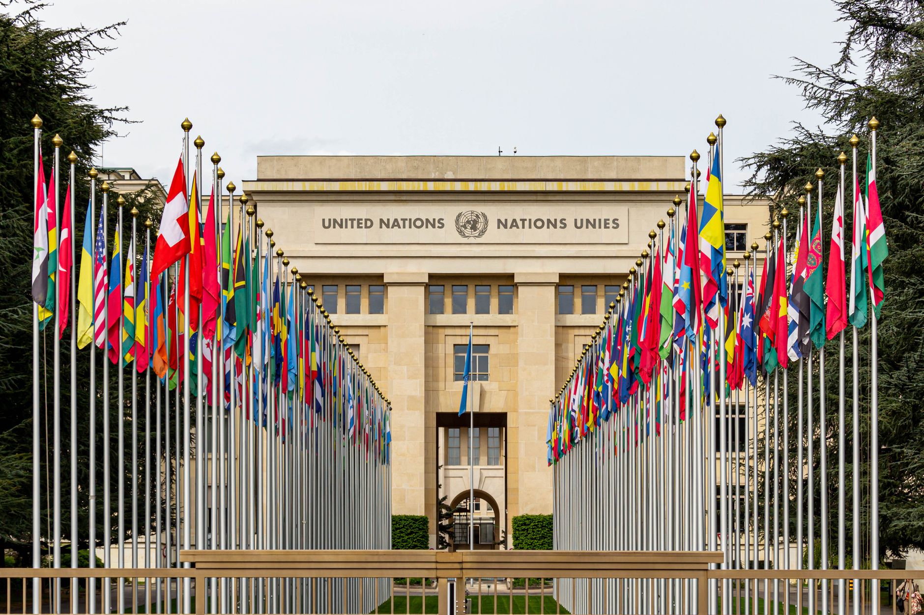 United Nations General Assembly
