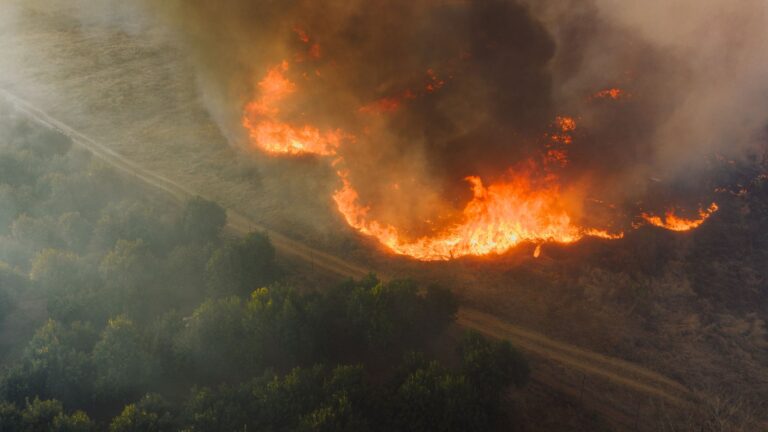 Paris wildfire may have been deliberately set, says minister
