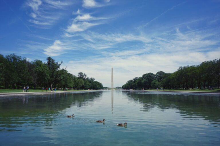 Trump changes Reflecting Pool ‘gash’ size again with no evidence