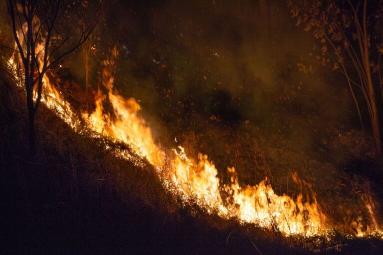 Climate alarm ‘blaring from every direction,’ warns UN official