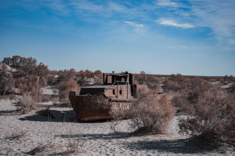 Rangelands under threat as climate pressure mounts globally