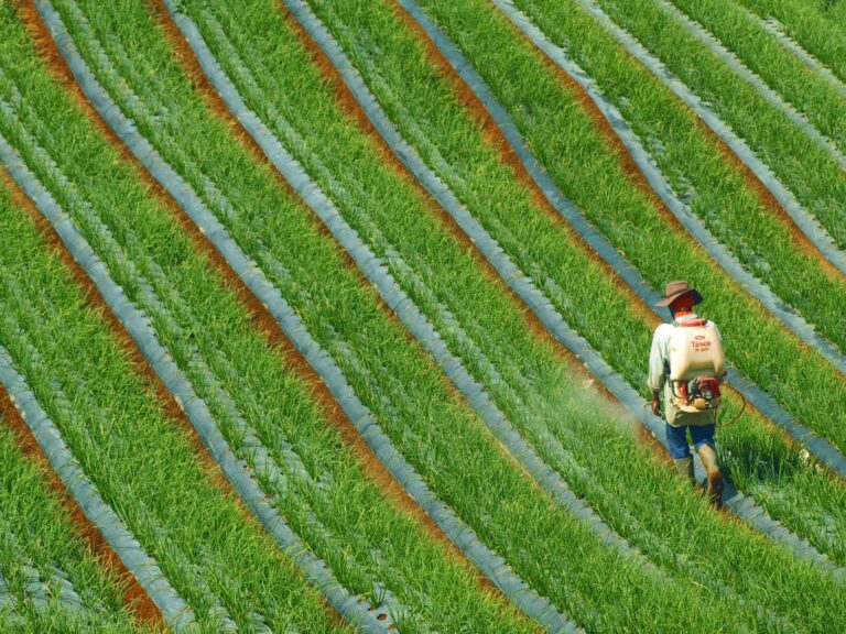 EU countries fail to agree on new pesticide rules in deadlock