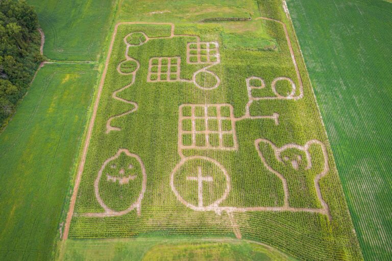 Hungary corn maze opens with fairy tale theme across 4.5 hectares