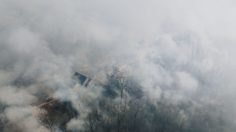 Wildfire smoke chokes Bordeaux as residents struggle to breathe